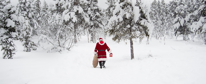 Magical Lapland Day Trips on sale for 2023